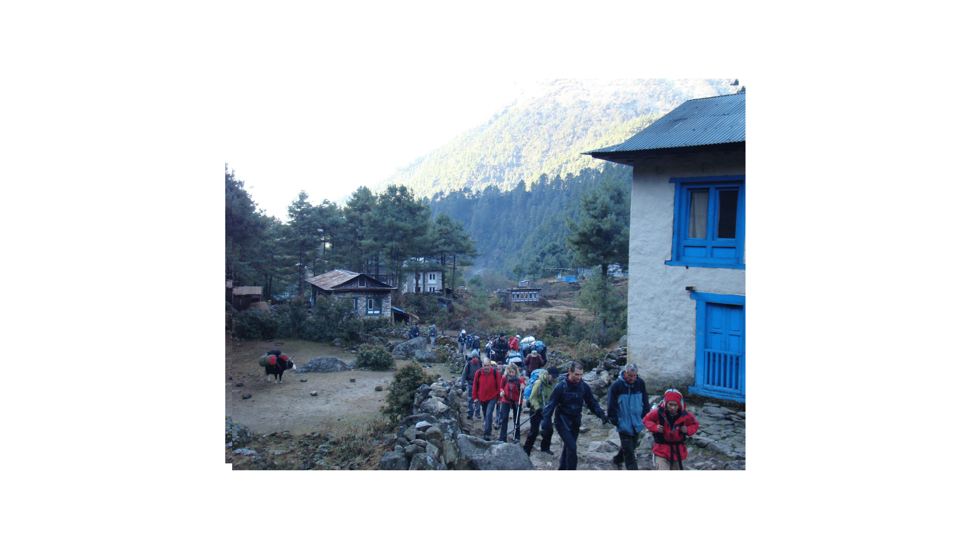 Everest Base Camp Trek: A Guide for Every Traveler — Solo, Family, Seniors, Students & Professionals