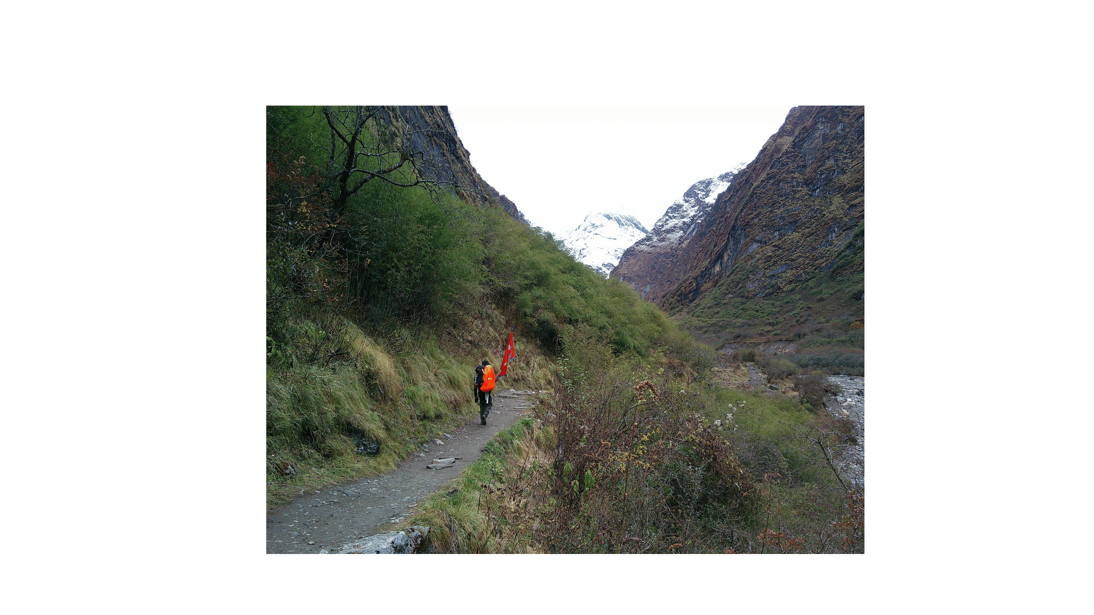 Annapurna Circuit vs Annapurna Base Camp 2026 — Which Trek Should You Choose?